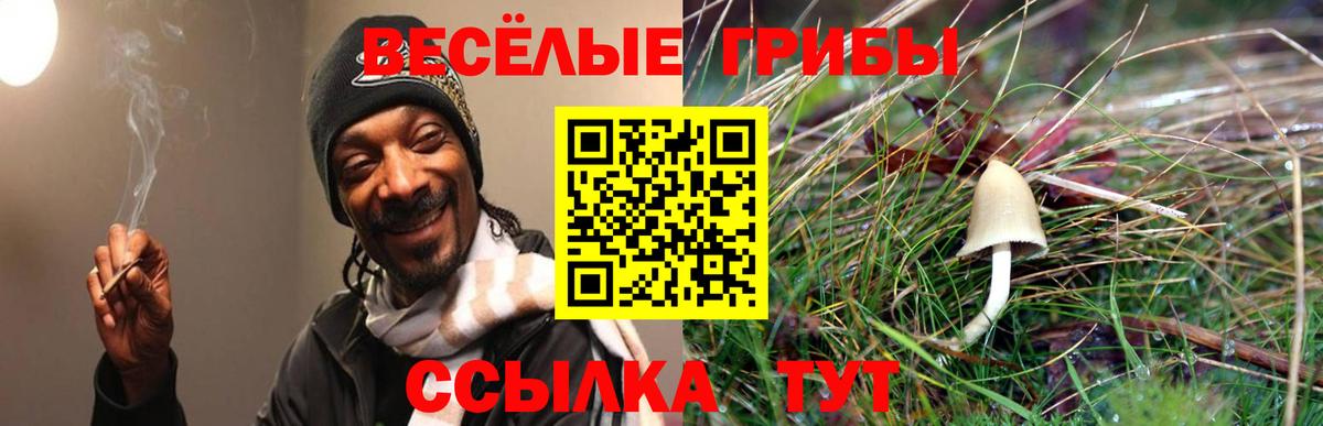 Галлюциногенные грибы MAGIC MUSHROOMS Белогорск